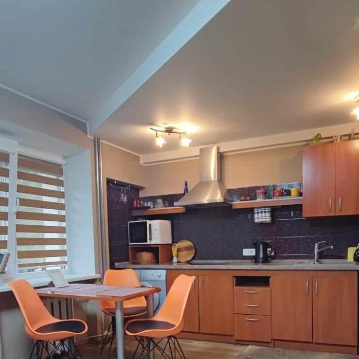 Du Draugai Apartment ドルスキニンカイ エクステリア 写真