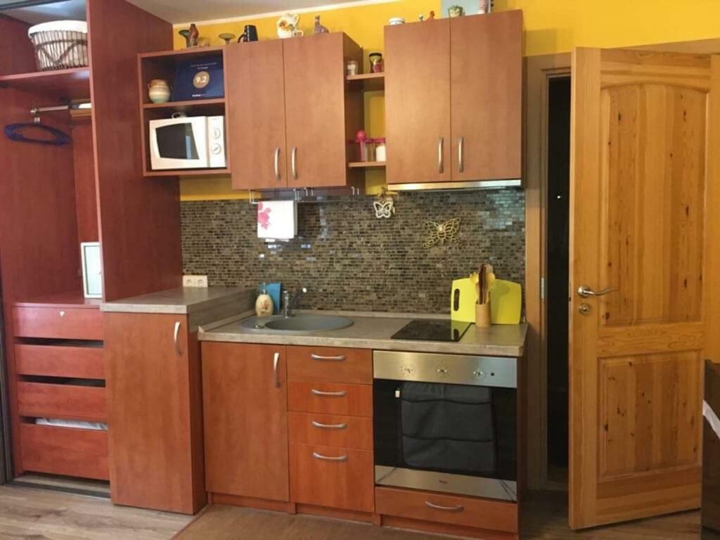 Du Draugai Apartment ドルスキニンカイ エクステリア 写真